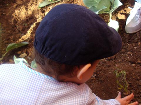 A criança está a abrir um buraco com as mãos para plantar um rebento.