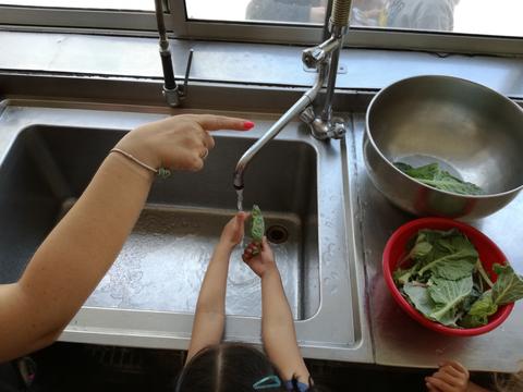 lavagem, na copa da cozinha da escola, folha a folha dos alimentos colhidos para a confeção da sopa a servir no almoço do dia seguinte (alface, couve e salsa)