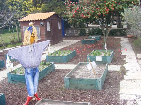 O espantalho da horta - Este espantalho foi elaborado com materiais reciclados pelos alunos do pré-escolar e primeiro ciclo. Tem como objetivo espantar aves que possam danificar as nossas culturas.