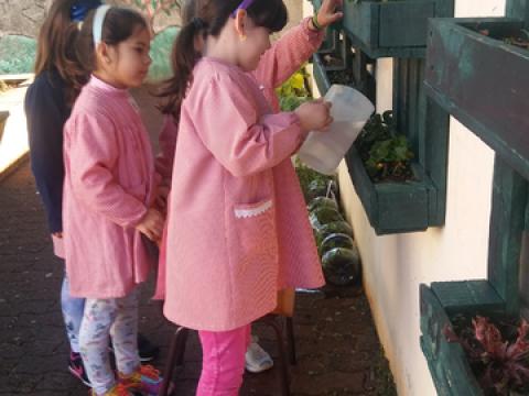 Visita à horta para observação do crescimento das alfaces e rega