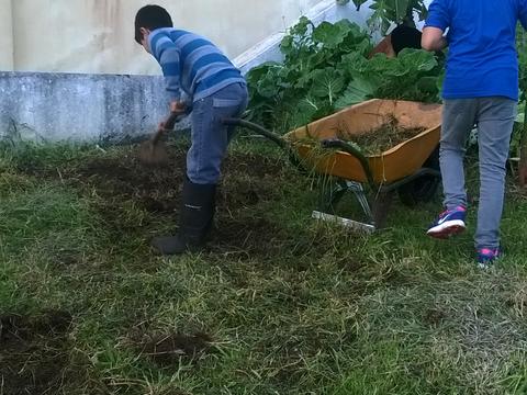 Preparação da horta, removendo as ervas e cavando a terra para receber as plantas.