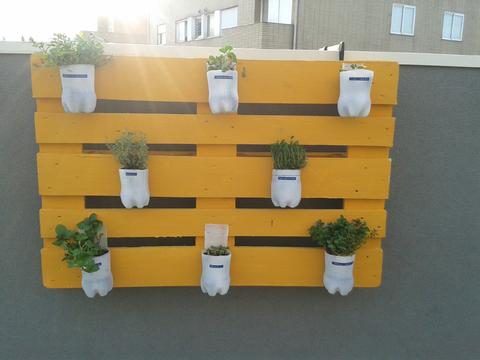 Montagem da horta vertical com as respetivas plantas.