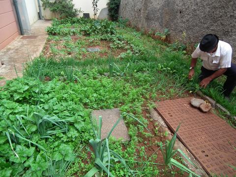 Vista panorâmica da nossa Horta Bio, trabalhada com dedicação para colher os futuros frutos.