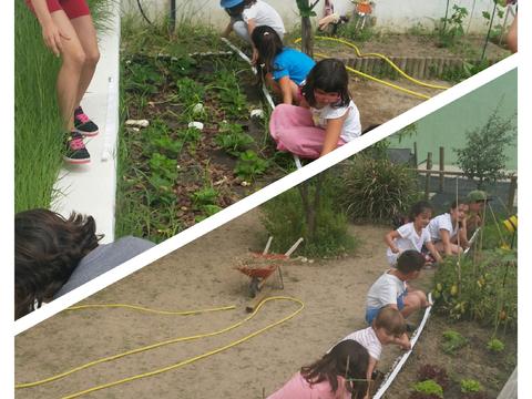 Fomos diversas vezes à horta fazer medições e assim aprendemos melhor o metro linear, a diferença entre perímetro e a área.