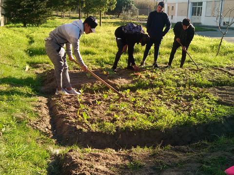 Mondas e sacha - últimos trabalhos a realizar na horta, os alunos de jardinagem vão para estágio