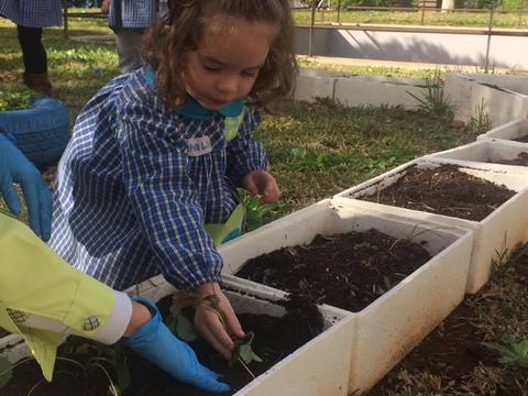Após a plantação, as crianças regam todos os dias a horta e identificam com placas tudo aquilo que plantam. Quando cresce, estas colhem com a ajuda dos adultos da sala.