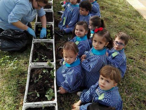 Os grupos quer de transição e pré-escolar continuaram a plantar legumes na nossa horta