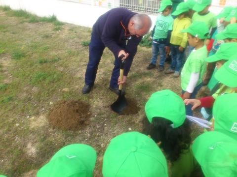Plantar o sobreiro oferecido na Mostra Nacional Eco- Escolas em Aveiro em articulação com a proteção civil.