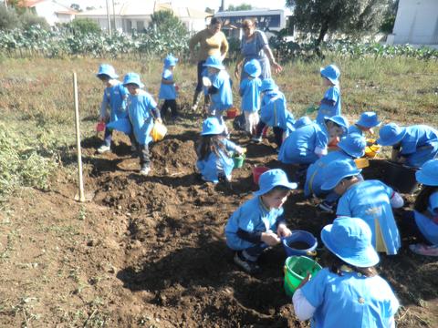 As crianças foram recolher terra para trazer para a nossa horta. Com as suas pás cavaram a terra.