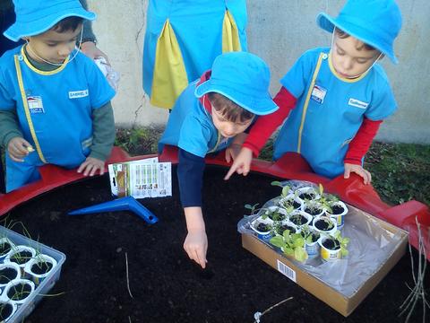 Depois da terra cavada, as crianças foram colocar as plantas na horta e sementes.