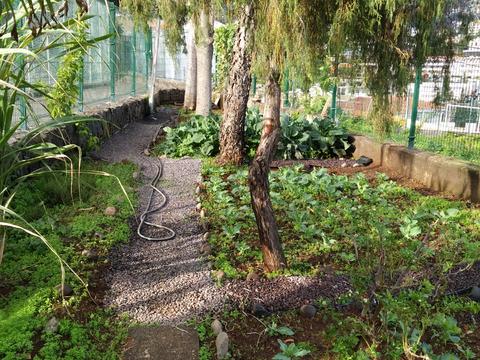Após muito trabalho e o contributo incansável de alunos e professores, a horta biológica começou a assumir-se como um espaço agradável e adequado às boas práticas agrícolas.