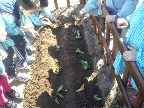 e o grupo chegou todo á horta com uma vontade enorme de cavar e semear e plantar o que tinham trazido de casa