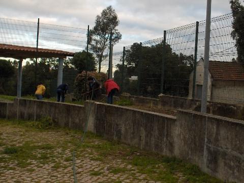 Limpeza de mais algum espaço para a horta. .