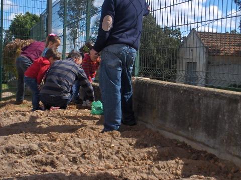 Dia da árvore: plantação de 2 pessegueiros e cebolo, em colaboração com a turma do pré escolar e seus avós,  e uma turma de 5ºano.