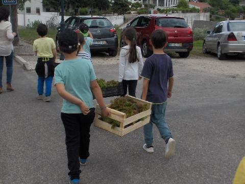 Entrega de produtos (alfaces) à Santa casa da Misericórdia- Lar.