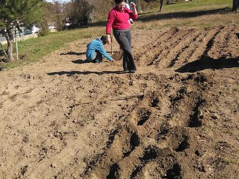 Preparação do solo / Professor e alunos preparam o terreno antes de iniciar as plantações dos diversos vegetais.