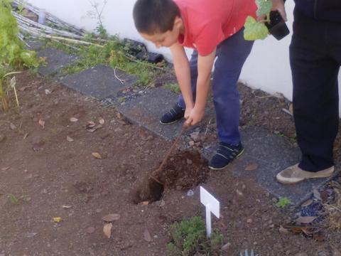 Crianças e adultos (Ensino Recorrente) a tratar da horta, plantação de abóboras