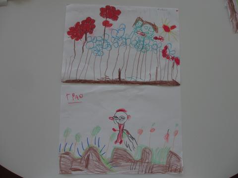 Ilustrações dos alunos sobre a atividade.