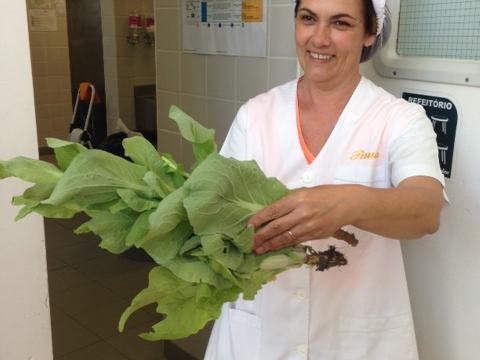 A Paula, a nossa cozinheira anda feliz da vida com os legumes que lhe levamos da nossa horta. Finalmente as nossas sopas e as nossas saladas são feitas com os legumes da nossa horta :)
