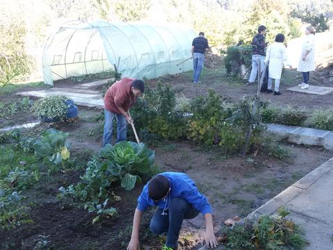 Preparação de canteiros para plantações.