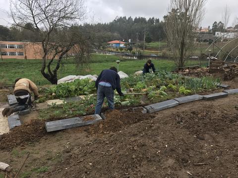 Reconstrução da estufa, danificada pelo temporal.