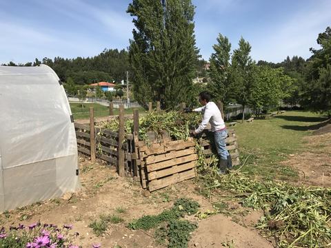 Colocação de resíduos para compostagem.