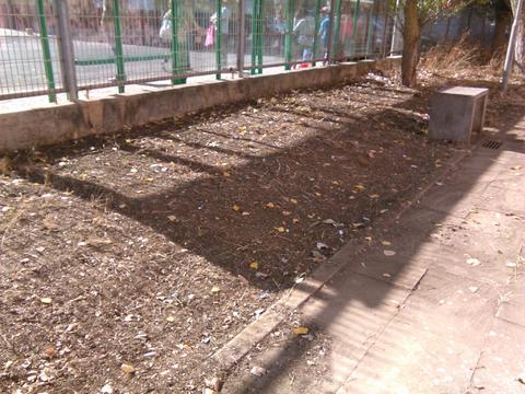 Limpeza e preparação do terreno escolhido para as aromáticas.