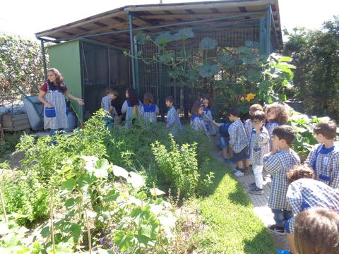Crianças da sala dos 3 anos a visitar a horta