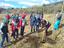 Dia da árvore: plantção de árvore na serra de Vila Nova