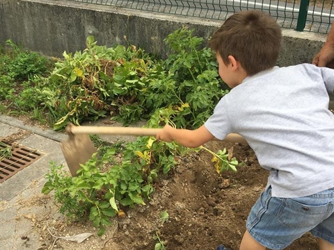 Os alunos sacham a horta... gostam muito de realizar esta atividade.