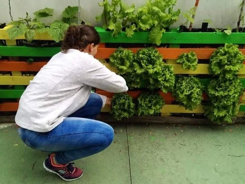 As mães colheram as alfaces plantadas pelos filhotes