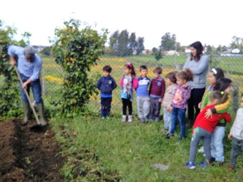 O Pai de um aluno a preparar o terreno da horta