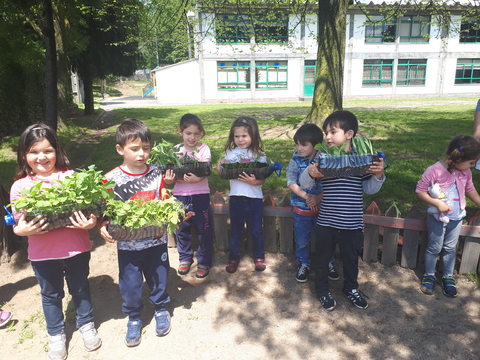 As sementeiras foram plantadas na horta.