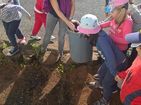 Todos os alunos a ajudar a deitar o adubo natural, na terra da nossa horta.