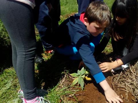 Os alunos fazem sozinhos a plantação na horta.