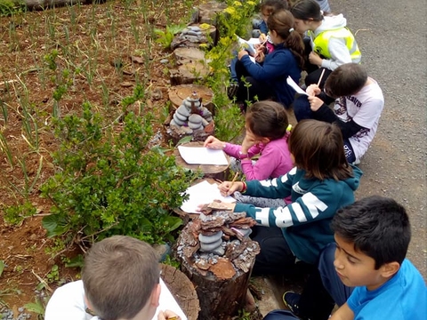 Os alunos estão a observar a horta e a construir 