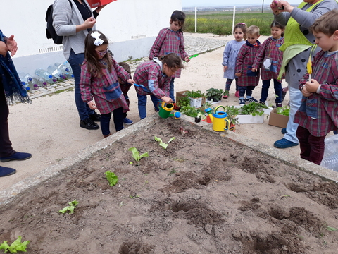 Os meninos do JI a plantar as alfaces.