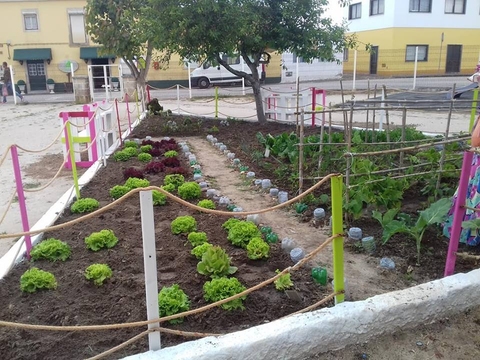 A bio-horta fantástica! Os alunos já levaram produtos da mesma e estão muito orgulhosos da mesma.