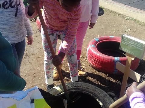 A preparar a terra para semear bolbos