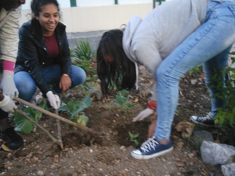 Alunas a preparar o terreno.