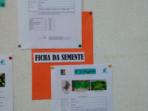 Exposição do trabalho realizado na bio-horta: exemplo de uma ficha de semente (escola)