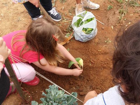 Diz o provérbio popular, EM OUTUBRO PEGA TUDO. Por isso nós fizemos o transplante das nossas plantas para a horta.