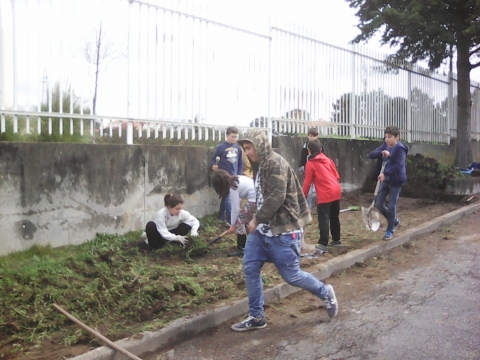 Preparação do terreno para criação de uma nova horta- Alunos do 6ºano