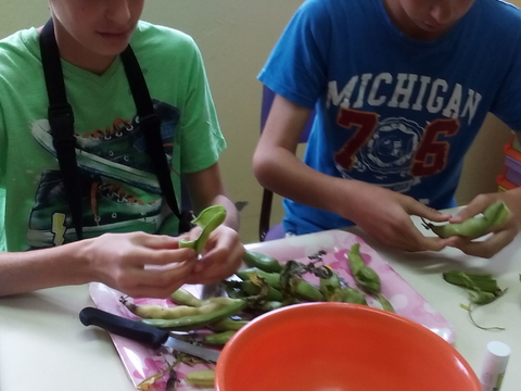 Alunos a preparar as favas para confecionar uma sopa.