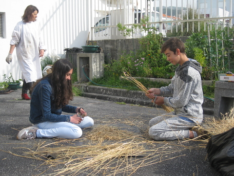 Preparação da palha para proteção do solo (manter a humidade de controlo de pragas).