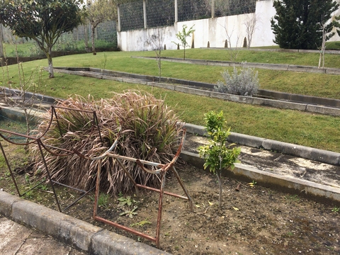 Espaço da horta em bruto