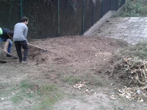 Alunos a recolher composto para colocação nas leiras de plantação