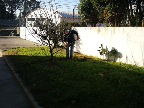 Primeiro lavramos e preparamos a terra com a ajuda de pais/familiares de alunos.