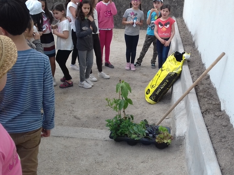 Preparando o terreno para a horta.