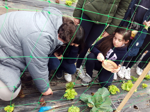 O profspaulo com os alunos a plantar na estufa.